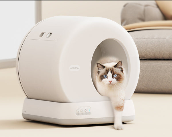 Automatic Self Cleaning Cat Litter Tray Box