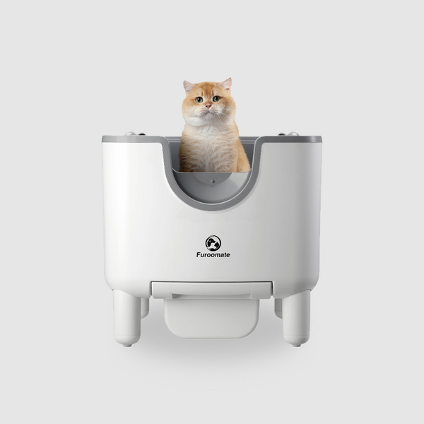 Automatic F6 Litter Box